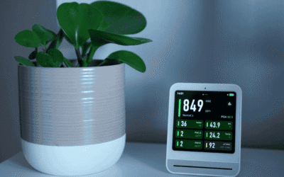 How Air Purifiers Help Reduce Indoor Air Pollution and Allergies
